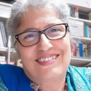 Maria Margarida Pereira de Lima Gomes